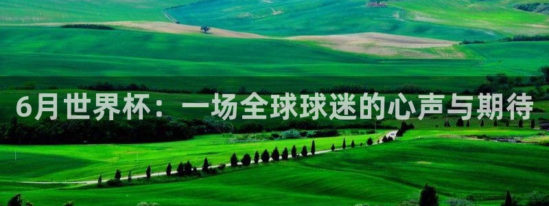世界杯足球：6月世界杯：一场全球球迷的心声与期待