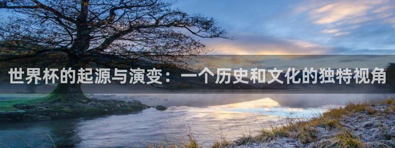 世界杯决赛圈球队：世界杯的起源与演变：一个历史和文化的独特视角