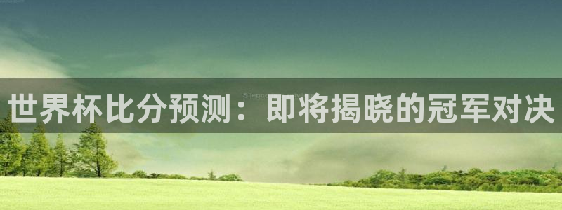 2026世界杯亚洲预选赛赛程：世界杯比分预测：即将揭晓的冠军对决