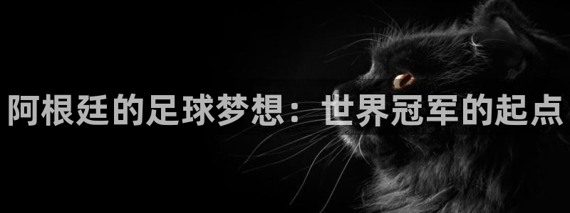 世界杯决赛预测：阿根廷的足球梦想：世界冠军的起点