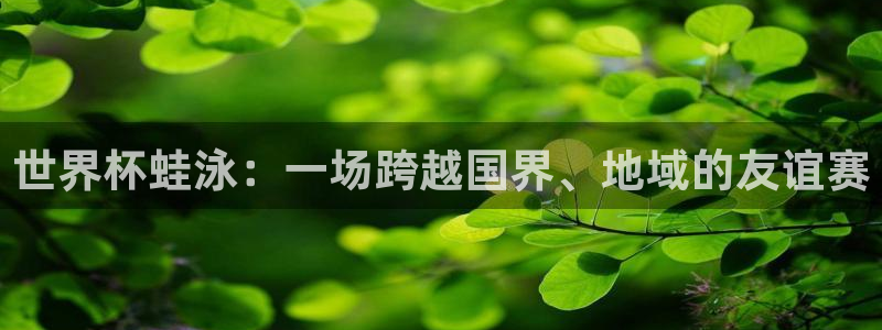 看世界杯：世界杯蛙泳：一场跨越国界、地域的友谊赛