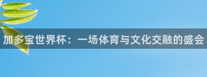 2026世界杯直播免费观看：加多宝世界杯：一场体育与文化交融的盛会