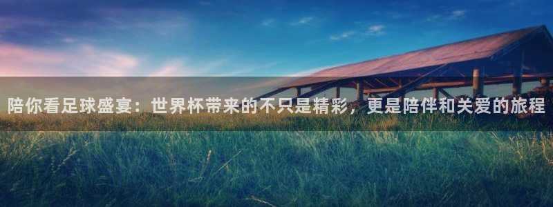 足球世界杯预选赛：陪你看足球盛宴：世界杯带来的不只是精彩，更是陪伴和关爱的旅程