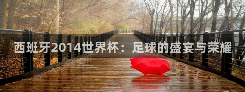 世界杯预选赛直播：西班牙2014世界杯：足球的盛宴与荣耀