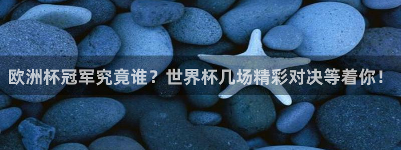 足球世预赛：欧洲杯冠军究竟谁？世界杯几场精彩对决等着你！