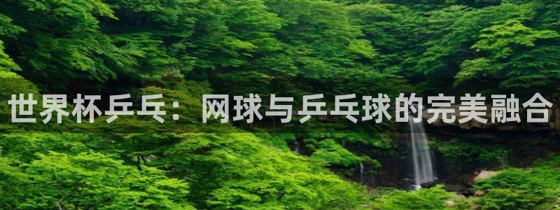 2026世界杯赛程：世界杯乒乓：网球与乒乓球的完美融合