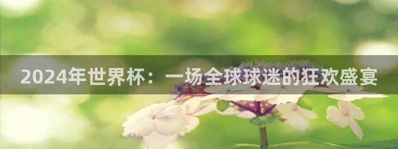 世界杯足球：2024年世界杯：一场全球球迷的狂欢盛宴