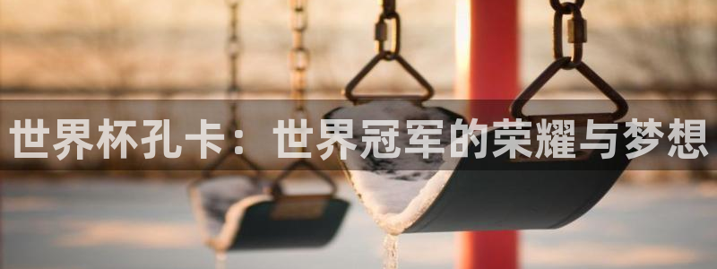 足球世界杯：世界杯孔卡：世界冠军的荣耀与梦想
