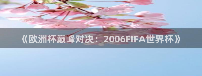 2026年世界杯时间表：《欧洲杯巅峰对决：2006FIFA世界杯》