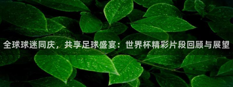 世界杯在线直播入口：全球球迷同庆，共享足球盛宴：世界杯精彩片段回顾与展望