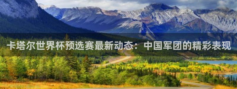 2026年世界杯对阵图：卡塔尔世界杯预选赛最新动态：中国军团的精彩表现