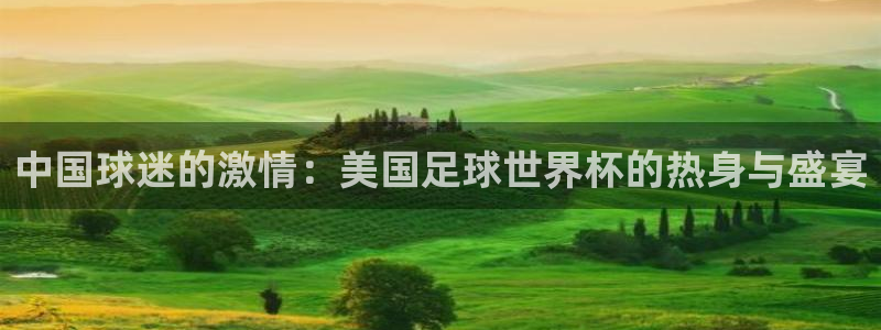 2026世界杯赛程：中国球迷的激情：美国足球世界杯的热身与盛宴