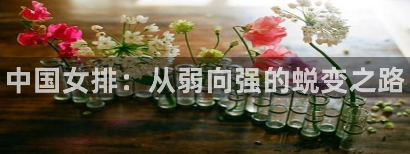 中国 世界杯：中国女排：从弱向强的蜕变之路